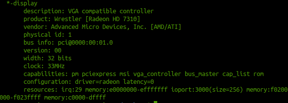 Terminal output graphics card information